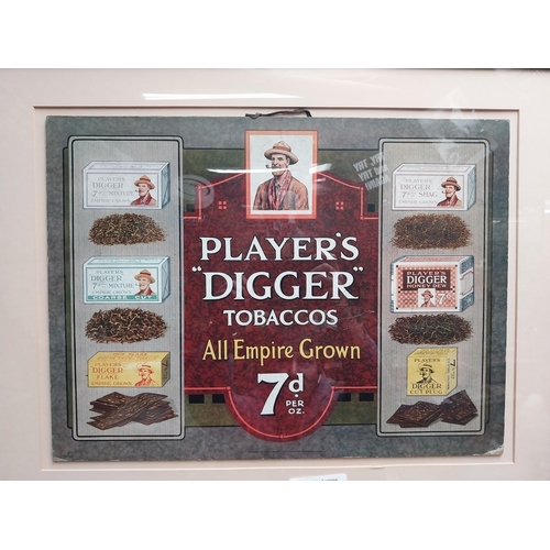 94 - Rare Player's Digger Tobaccos pictorial framed advertising show card {54 cm H x 69 cm W}.