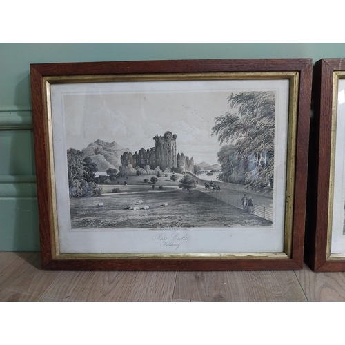 10 - Pair of Ross Castle Killarney and The Devils Glen Wicklow lithographs mounted in oak frames {33 cm H... 