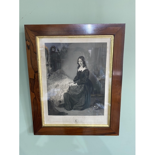 1009 - 19th C. National Art Union 'Kate Nickleby' engraving mounted in rosewood frame {64 cm H x 52 cm W}.