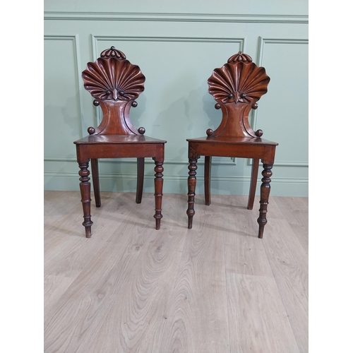 1035 - Pair of William IV mahogany hall chairs with shell back raised on turned legs {96 cm H x 43 cm W x 4... 