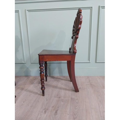 1035 - Pair of William IV mahogany hall chairs with shell back raised on turned legs {96 cm H x 43 cm W x 4... 