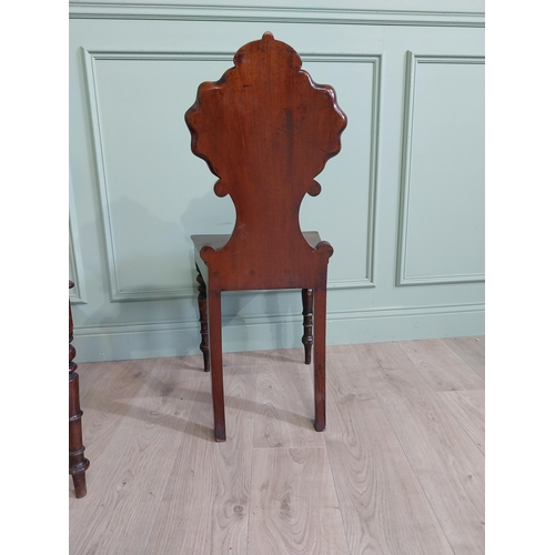 1035 - Pair of William IV mahogany hall chairs with shell back raised on turned legs {96 cm H x 43 cm W x 4... 