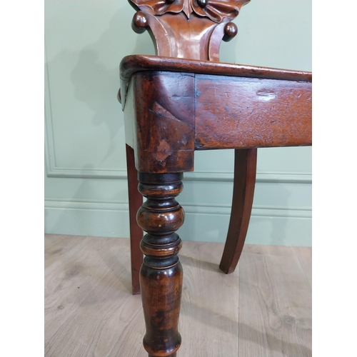 1035 - Pair of William IV mahogany hall chairs with shell back raised on turned legs {96 cm H x 43 cm W x 4... 