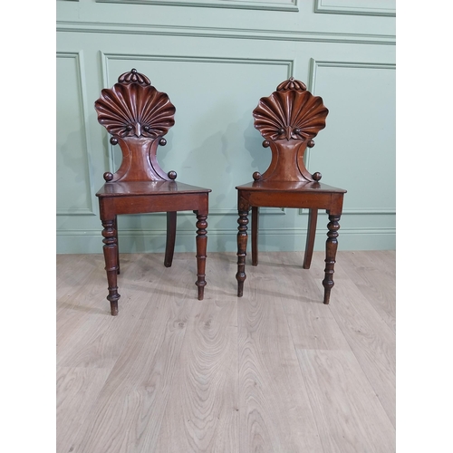 1035 - Pair of William IV mahogany hall chairs with shell back raised on turned legs {96 cm H x 43 cm W x 4... 