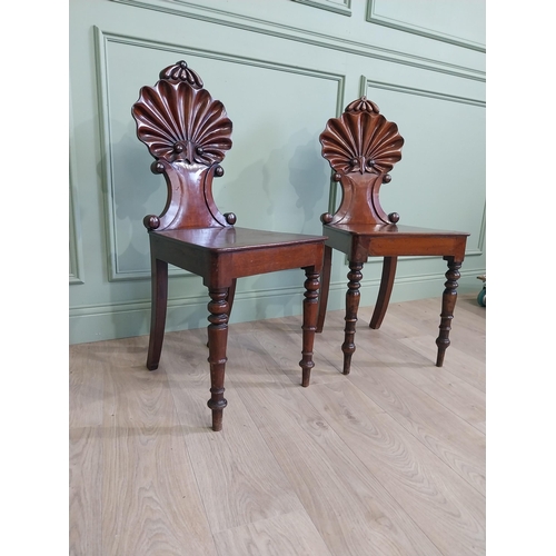 1035 - Pair of William IV mahogany hall chairs with shell back raised on turned legs {96 cm H x 43 cm W x 4... 