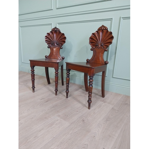 1035 - Pair of William IV mahogany hall chairs with shell back raised on turned legs {96 cm H x 43 cm W x 4... 