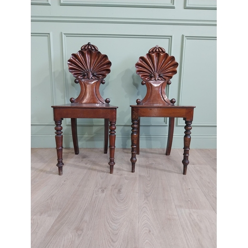 1035 - Pair of William IV mahogany hall chairs with shell back raised on turned legs {96 cm H x 43 cm W x 4... 