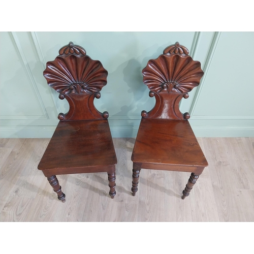 1035 - Pair of William IV mahogany hall chairs with shell back raised on turned legs {96 cm H x 43 cm W x 4... 