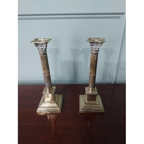 115 - Neat pair of early 19th C. brass Corinthian topped candlesticks {Approx. 29 cm H x 10 cm Dia.}.