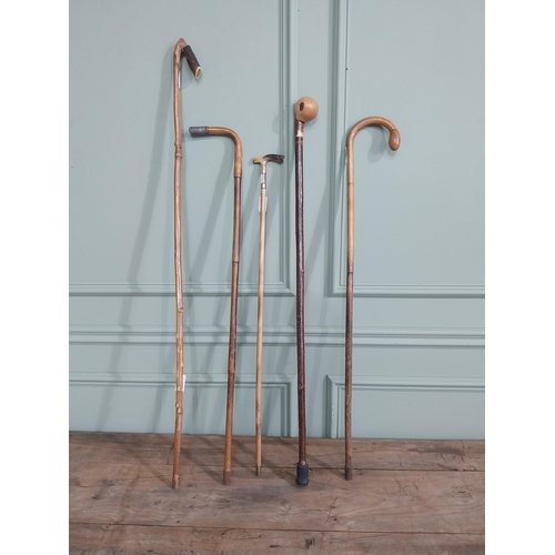 1151 - Collection of five 19th & 20th C. walking canes - one with silver mount and one with gold mount.