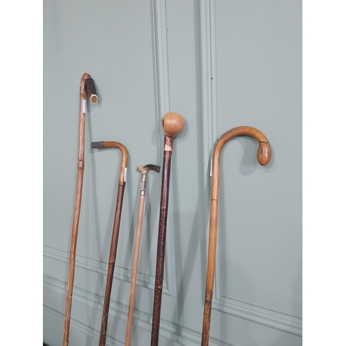 1151 - Collection of five 19th & 20th C. walking canes - one with silver mount and one with gold mount.