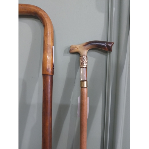 1151 - Collection of five 19th & 20th C. walking canes - one with silver mount and one with gold mount.