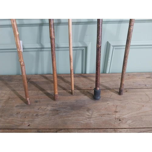 1151 - Collection of five 19th & 20th C. walking canes - one with silver mount and one with gold mount.