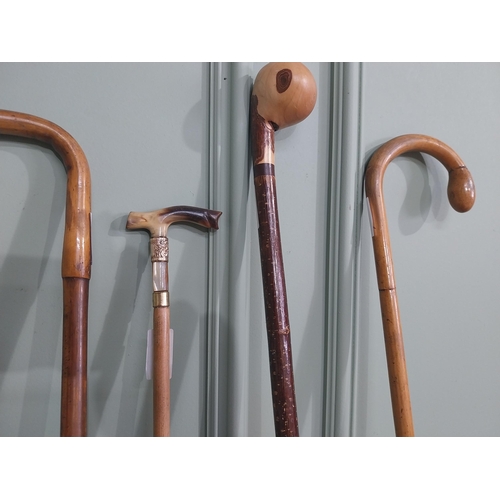 1151 - Collection of five 19th & 20th C. walking canes - one with silver mount and one with gold mount.