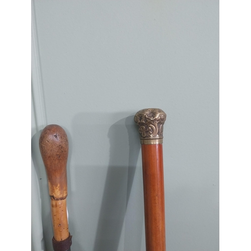 1152 - Collection of five 19th & 20th C. walking canes - one with brass mount decorated with Shamrocks.