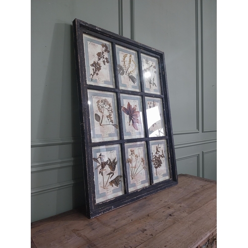 1166 - Italian framed pressed flowers dated 1913 mounted in painted pine frame {112 cm H x 83 cm W}.