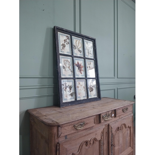 1166 - Italian framed pressed flowers dated 1913 mounted in painted pine frame {112 cm H x 83 cm W}.