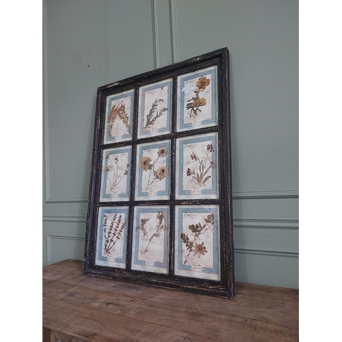 1167 - Italian framed pressed flowers dated 1913 mounted in painted pine frame {112 cm H x 83 cm W}.