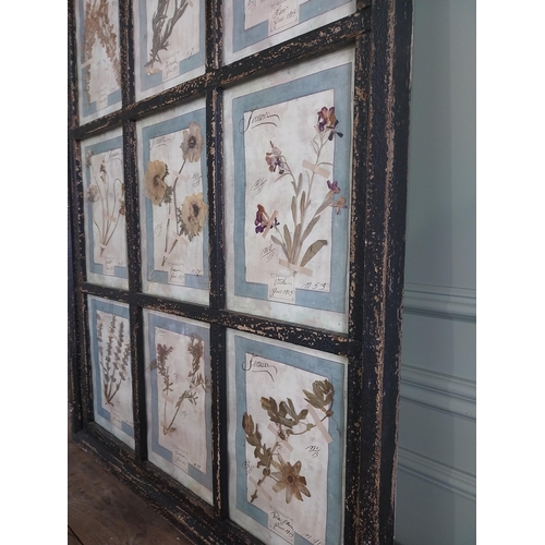 1167 - Italian framed pressed flowers dated 1913 mounted in painted pine frame {112 cm H x 83 cm W}.