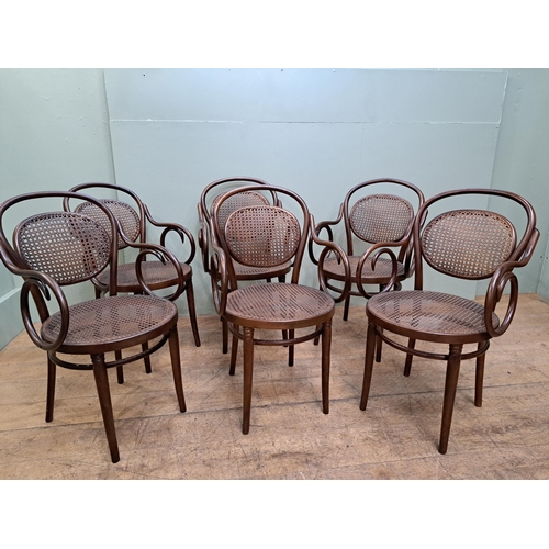 1176 - Set of six bentwood armchairs with rattan seat and back  {H 90cm x W 51cm x D 51cm }. - NOT AVAILABL... 