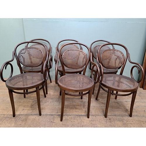 1176 - Set of six bentwood armchairs with rattan seat and back  {H 90cm x W 51cm x D 51cm }. - NOT AVAILABL... 