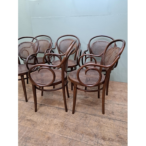 1176 - Set of six bentwood armchairs with rattan seat and back  {H 90cm x W 51cm x D 51cm }. - NOT AVAILABL... 