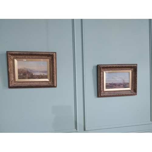 1240 - Two 19th C. Mountain and Farm scenes oil on canvases mounted in giltwood frames {44 cm H x 56 cm W}.