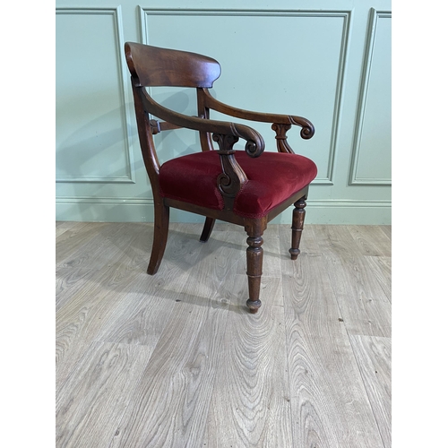 1256 - William IV mahogany open armchair with crushed velvet upholstered seat raised on turned legs {85 cm ... 