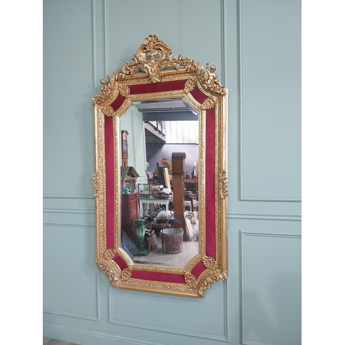 1257 - Decorative French gilt wall mirror in the Victorian style {200 cm H x 110 cm W}.