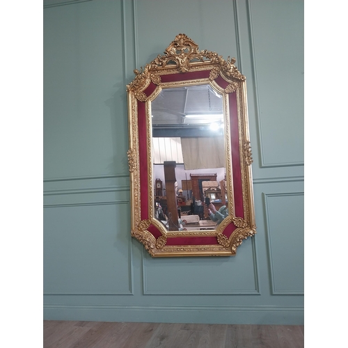 1257 - Decorative French gilt wall mirror in the Victorian style {200 cm H x 110 cm W}.