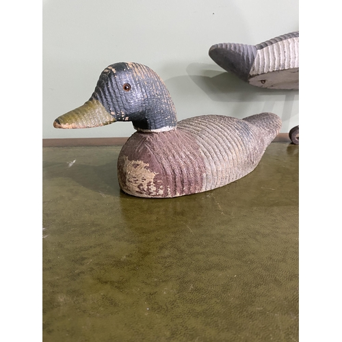 1318 - Two early 20th C. painted pine decoy ducks {33 cm H x 41 cm W x 15 cm D and 15 cm H x 40 cm W x 15 c... 