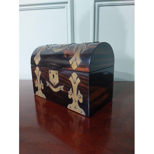 181 - Good quality 19th C. coromandel wood letter box with brass mounts by Austin Westmorland Street Dubli... 