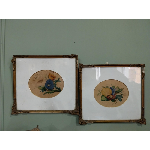 191 - Pair of flower watercolours mounted in giltwood frames {34 cm H x 38 cm W}.