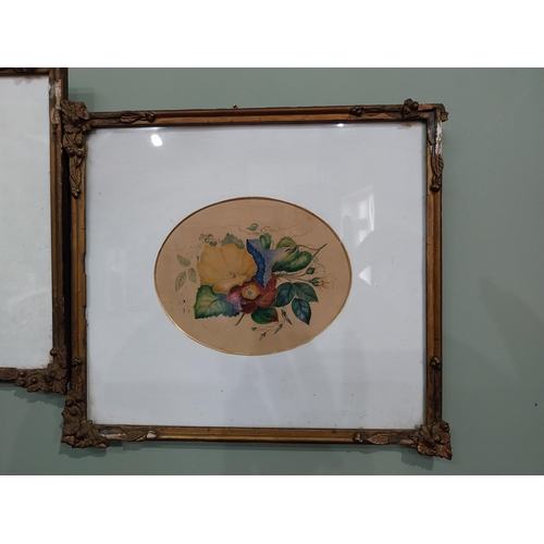 191 - Pair of flower watercolours mounted in giltwood frames {34 cm H x 38 cm W}.