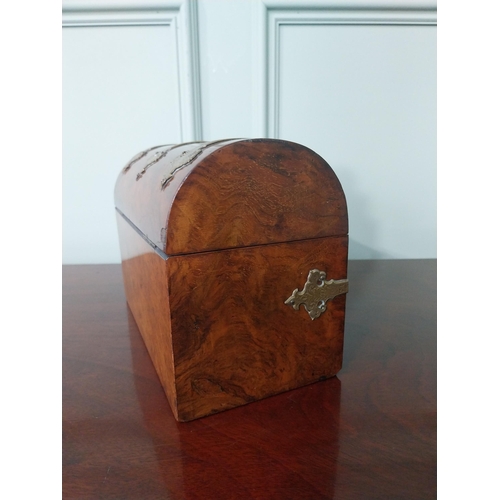 253 - 19th C. burr walnut and gilded brass mounted dome top letter box {17 cm H x 23 cm W x 12 cm D}.