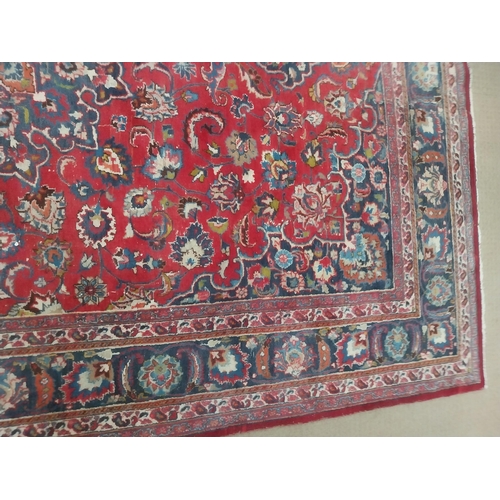 259 - Decorative Persian carpet square {362 cm L x 240 cm W}.