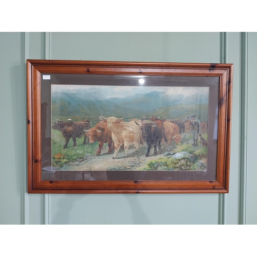 306 - H. Garland Highland Cattle coloured print mounted in walnut frame {71 cm H x 109 cm W}.