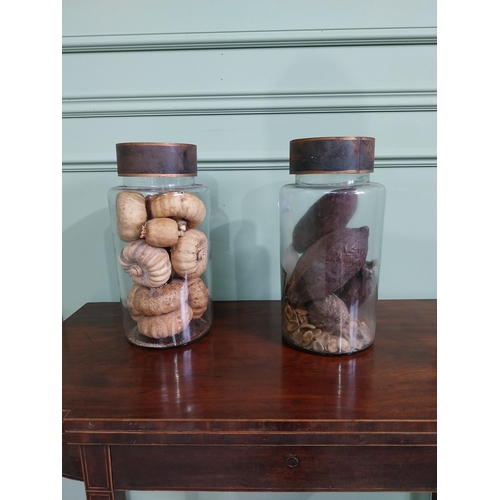 350 - Two lidded jars of dried squashes and seeds - Label Helianthemum Nummularium { 35cm H X 18cm Dia}.