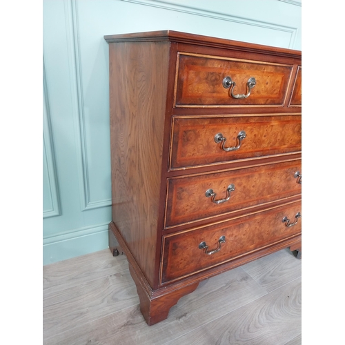 351 - Good quality burr elm chest of drawers with two short drawers over three long graduated drawers rais... 