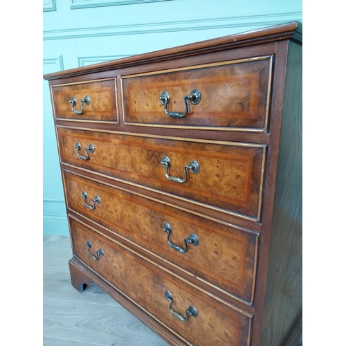 351 - Good quality burr elm chest of drawers with two short drawers over three long graduated drawers rais... 