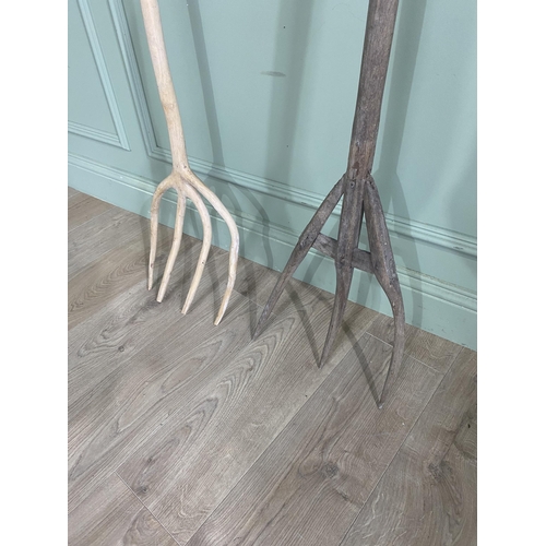 402 - Two antique wooden hay forks {160 cm H x 34 cm W and 146 cm H x 30 cm W}.