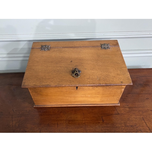 446 - Edwardian oak collection box {22 cm H x 42 cm W x 25 cm D}.