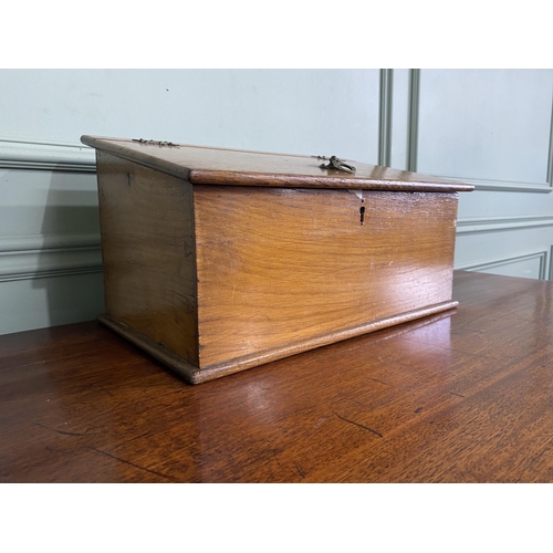 446 - Edwardian oak collection box {22 cm H x 42 cm W x 25 cm D}.