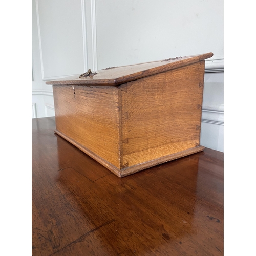 446 - Edwardian oak collection box {22 cm H x 42 cm W x 25 cm D}.