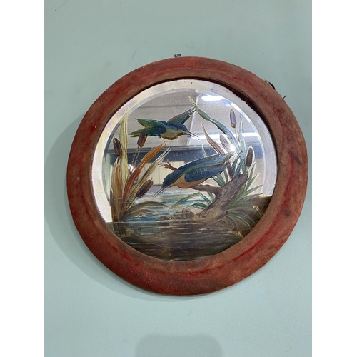 447 - Pair of Edwardian hand painted glass wall mirrors depicting birds mounted in velvet upholstered fram... 