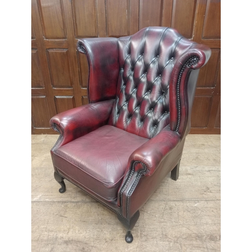 466 - Deep buttoned leather wingback fireside chair raised on Queen Ann legs {H 112cm x W 90cm x D 90cm } ... 