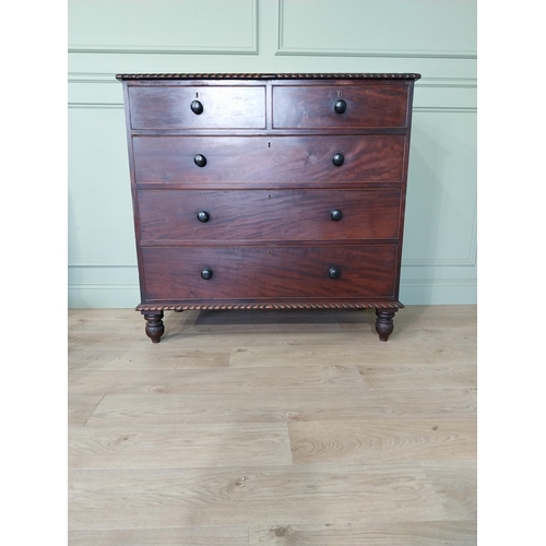 486 - 19th C. mahogany chest of drawers with two short drawers over three long graduated drawers raised on... 