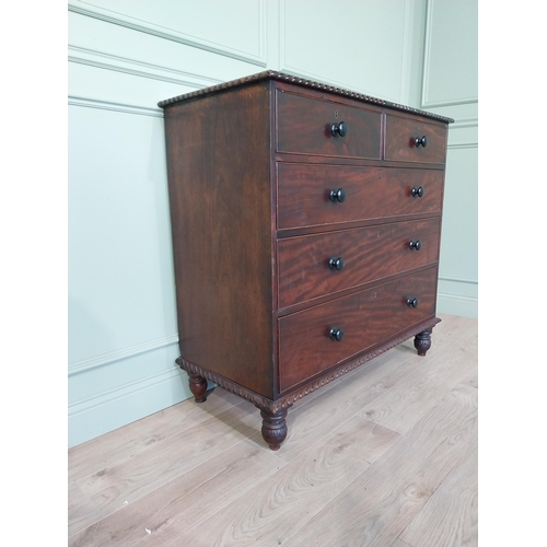 486 - 19th C. mahogany chest of drawers with two short drawers over three long graduated drawers raised on... 