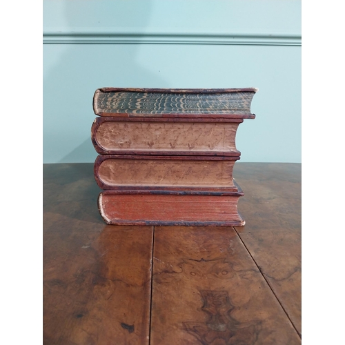 564 - Early 20th C. decanter box in the form of books {19 cm H x 26 cm W x 21 cm D}.