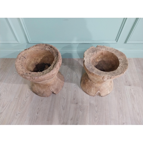 581 - Pair of drift wood jardinières {40 cm H x 37 cm Dia.}.